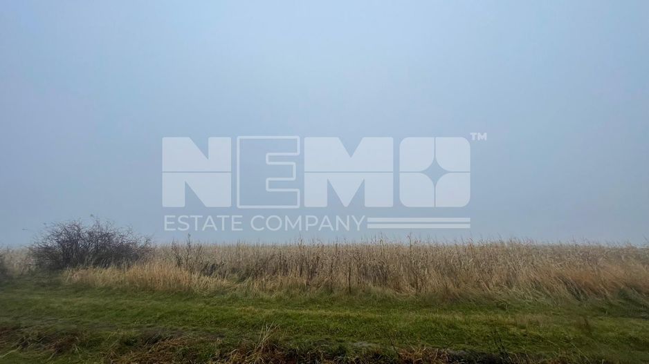 TEREN EXTRAVILAN | DOUA PARCELE 2.84 HA| IDEAL AGRICOL | DARMANESTI - Poză 10