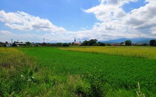 Teren intravilan | 680 mp | in Cristian langa Sibiu - Poză 3