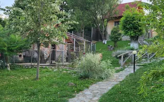 Vila Horezu Romanii de Jos - Poză 26