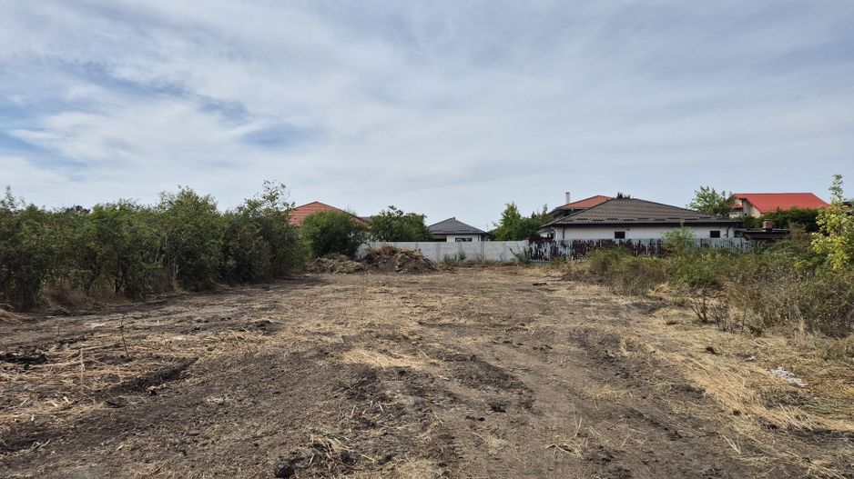 Teren intravilan 1000 mp - Domnesti - Poză 4