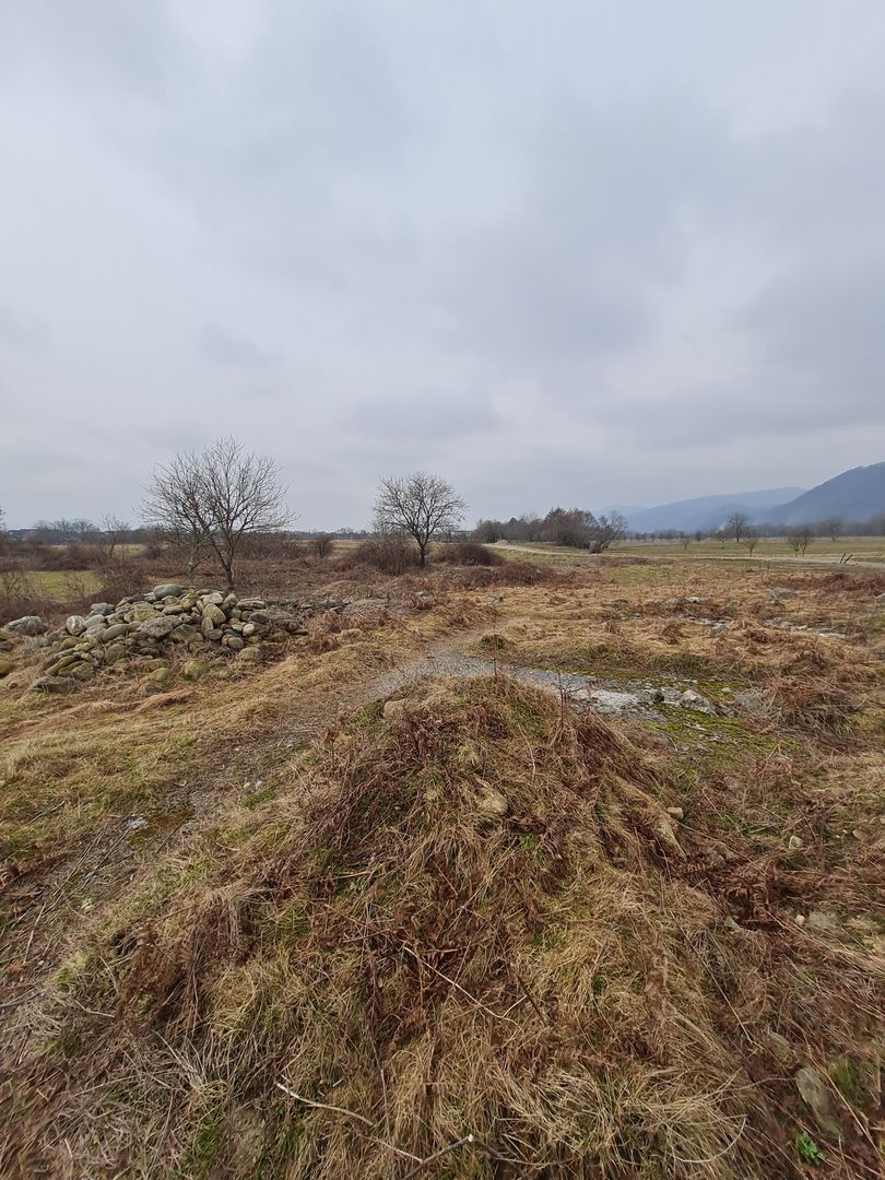 Teren intravilan 4400 MP - Poză 4