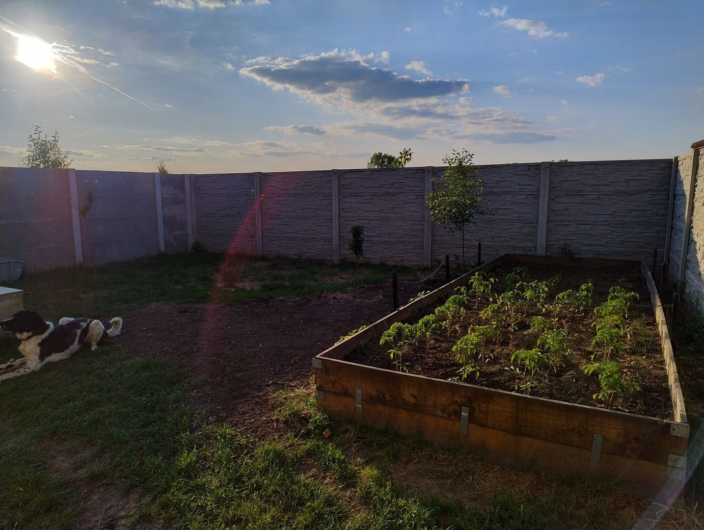 Casa pe parter in Bucovat - Poză 9