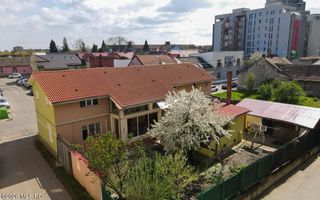 Lunei - Ion Neculce, 2 Apartamente. Mansarda 157 mp. Anexe, Lot 475 mp - Poză 2