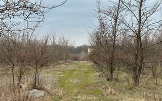 Teren intravilan cu PUZ aprobat 33.683 mp – Săftica/Balotești – deschidere DN1 - Poză 24