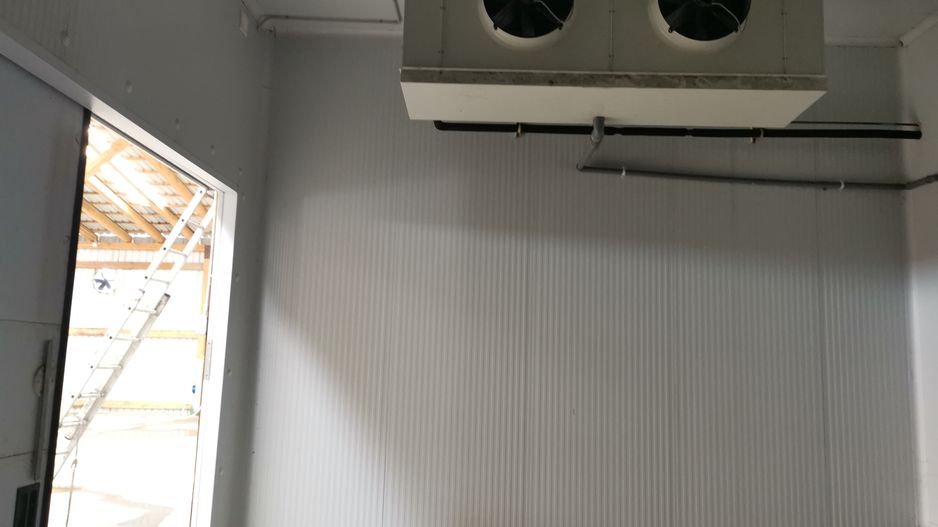 Ferma pomicola cu teren livada 270 ha - Timis - Poză 17