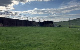 Teren 4000 mp cu casă și construcții anexe, Buhalnița, județul Iași - Poză 6