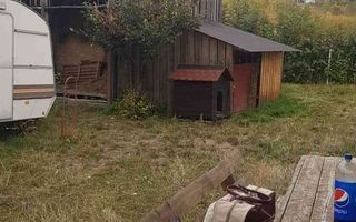 Teren intravilan de vânzare - 6200mp, pădure în apropiere - Poză 13