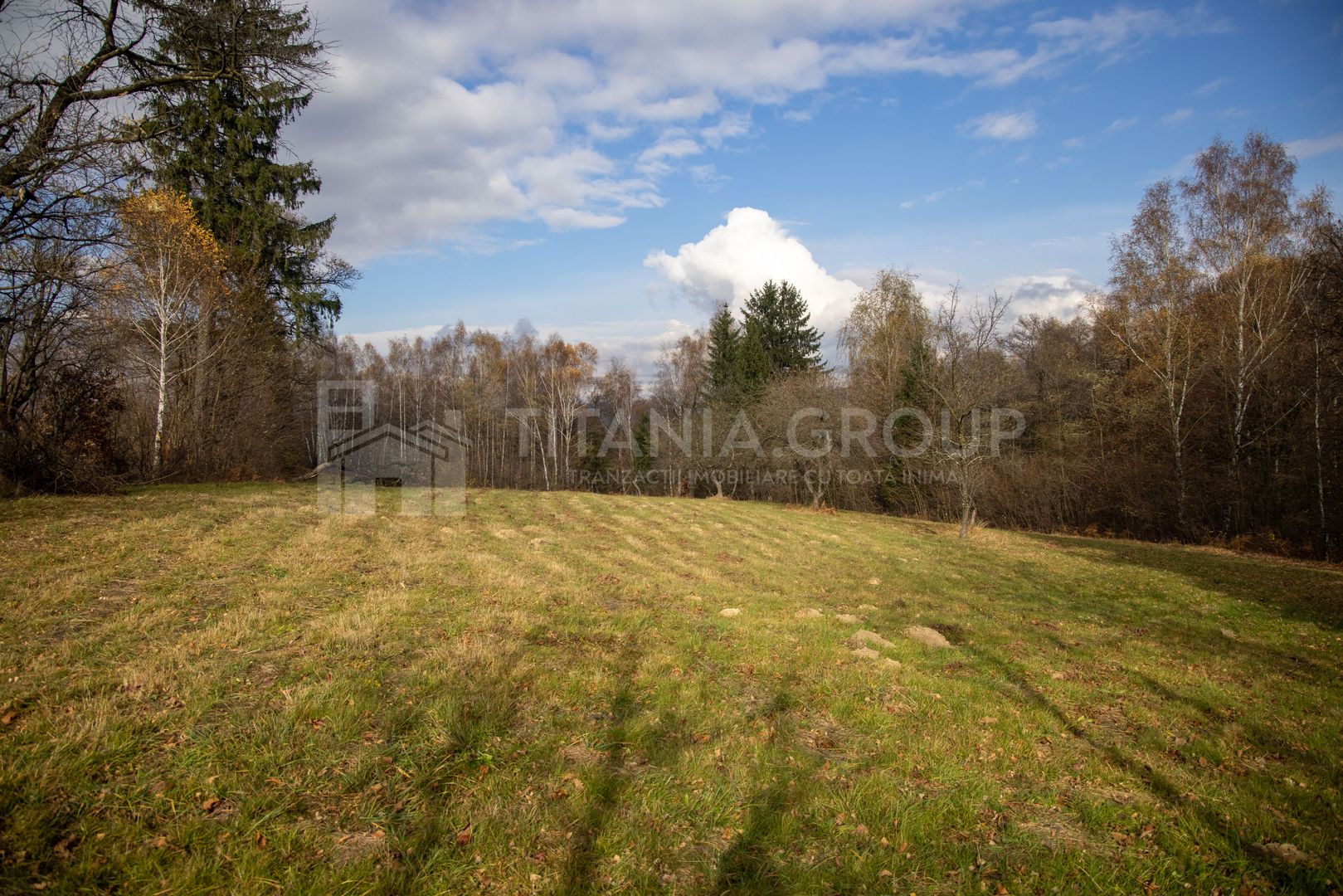 Teren intravilan, cu PUZ, Bran Tohanita,  SE ACCEPTĂ ȘI SCHIMB - Poză 2