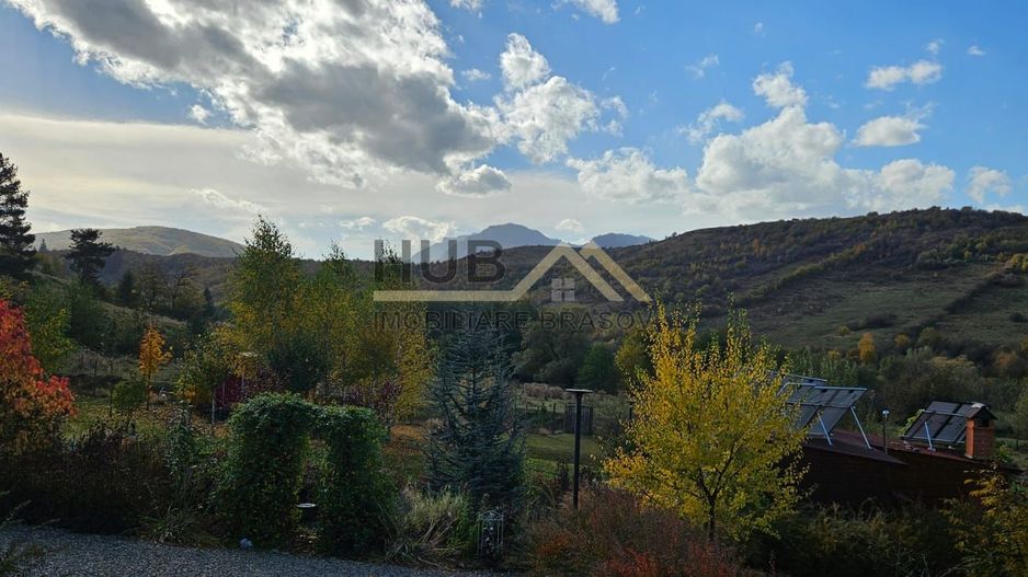 Teren cu PUZ - Tabara de Vacanta + Constructie Tiny Hous |  10 Cabane A-Frame - Poză 2