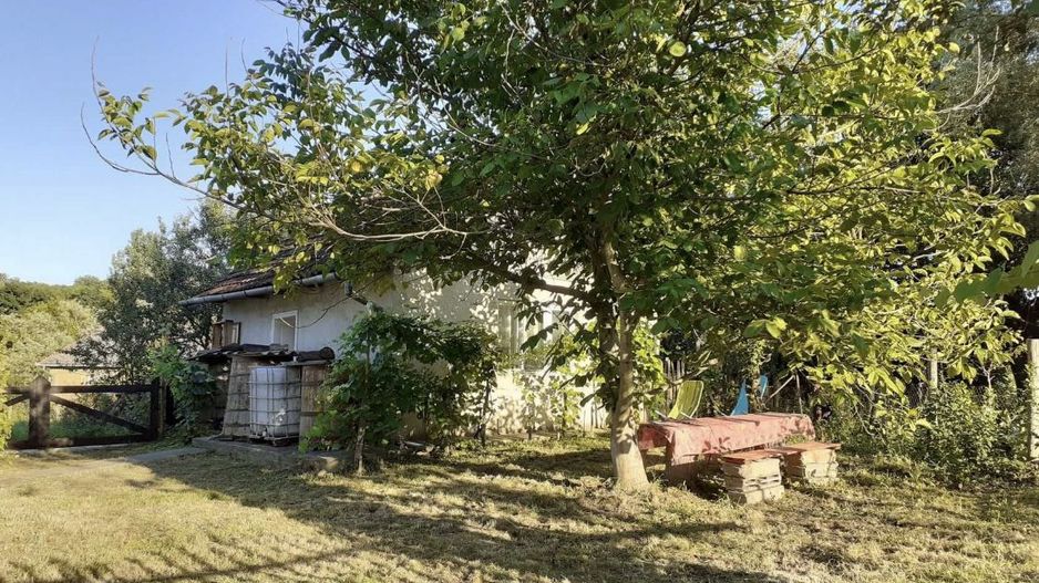 Vand casa cu gradina 4000 mp ca 12 Km de statiunea geotermala Tasnad - Poză 8