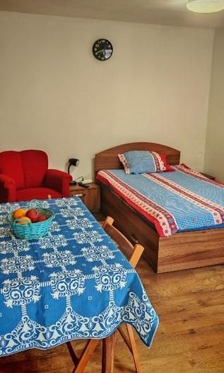 Închiriez garsonieră la casă, potrivită pentru o singură persoană. - Poză 3