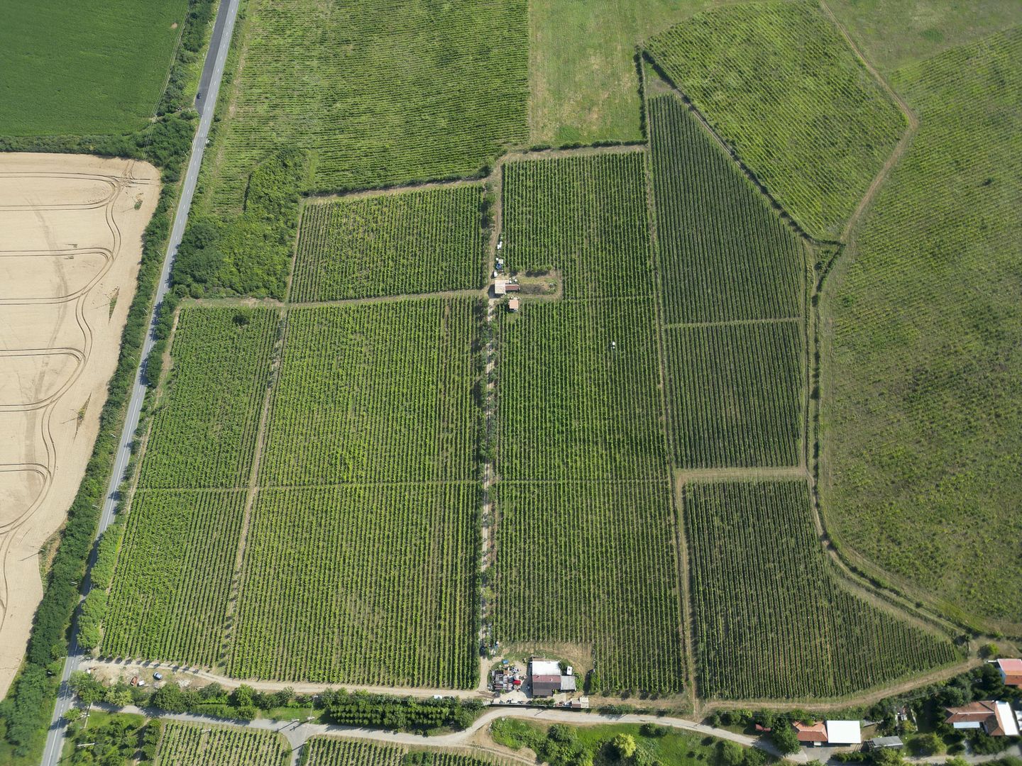 Vie Tradițională „Halta Lupilor” - Poză 39