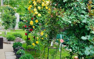 Parter cu structură pentru etaj, curte amenajată și organizare impeca - Poză 7