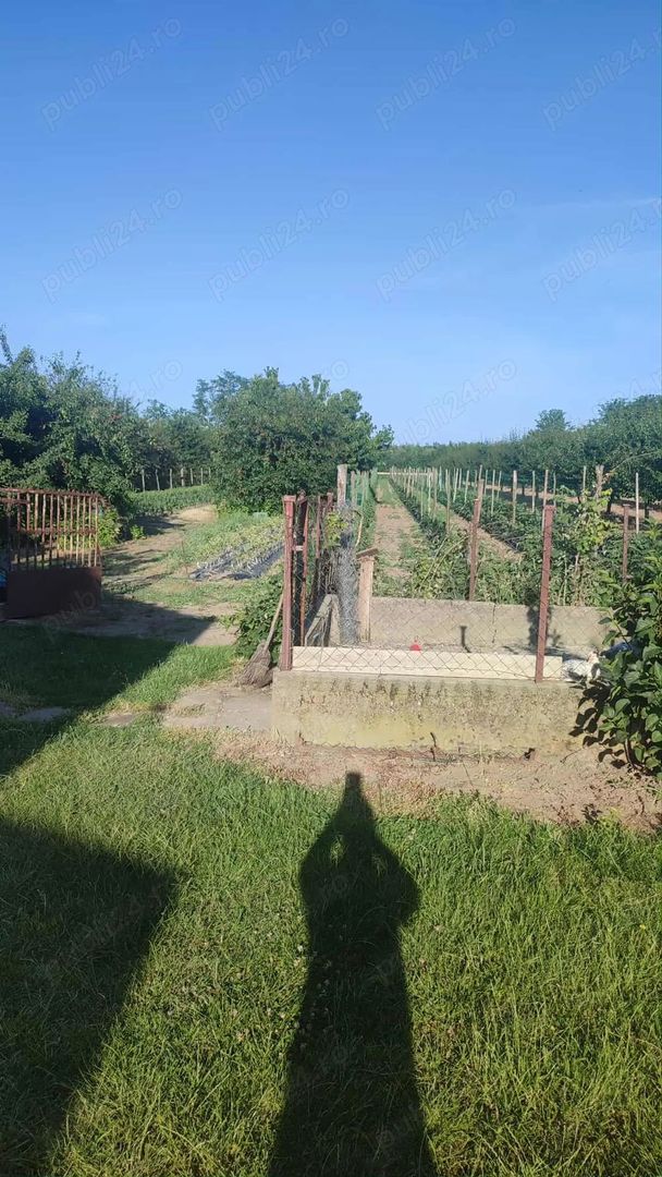 Casa de vanzare in Ungaria aproape de granita - Poză 5