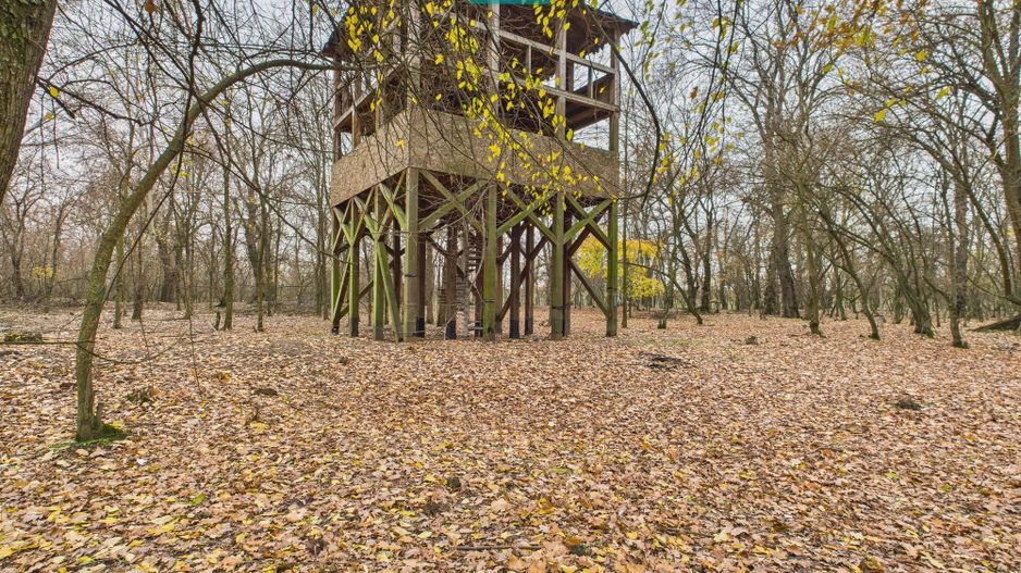 Teren pe malul Muresului- oportunitati multiple - Poză 21