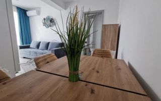 Terasa - Orientare Sudica - Complex 2021 - Dambul Rotund - Poză 3