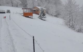 CASA 3 CAMERE, TEREN 3100 MP, ALBESTI DE MUSCEL, ARGES - Poză 22