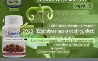 Apartament 1 camera - Poză 3