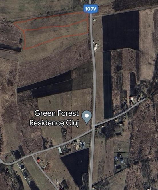 Teren Intravilan | Padureni | Investiție | 27000 mp - Poză 5