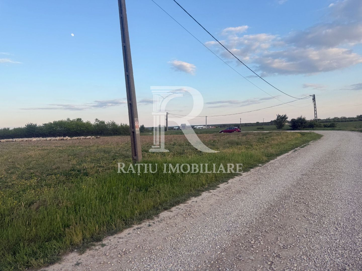 Teren extravilan | Păușa | Bihor - Poză 8