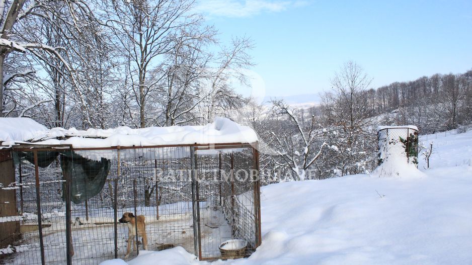 Proprietate rară | 4458 mp teren intravilan | Casă solidă, natură, liniște totală. | Bratca, Bihor. - Poză 54