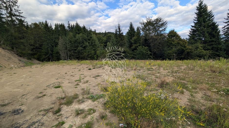 Parcele teren intravilan cu utilitati-panoramic-Colibita - Poză 3