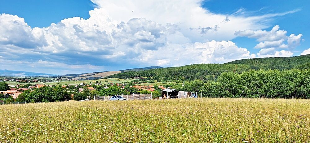 La 24 km de Brasov teren superb de 2010mp cu utilitati - Poză 5