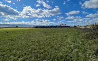 Teren industrial de vânzare în Cristian – 6.000 mp, deschidere la drum asfaltat - Poză 9