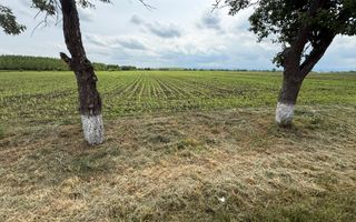 Teren extravilan de vânzare | Satu Mare, județul Suceava | 3.750 mp - Poză 3