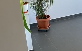 De inchiriat apartament cu 2 camere , Sun Plaza sector4 - Poză 10