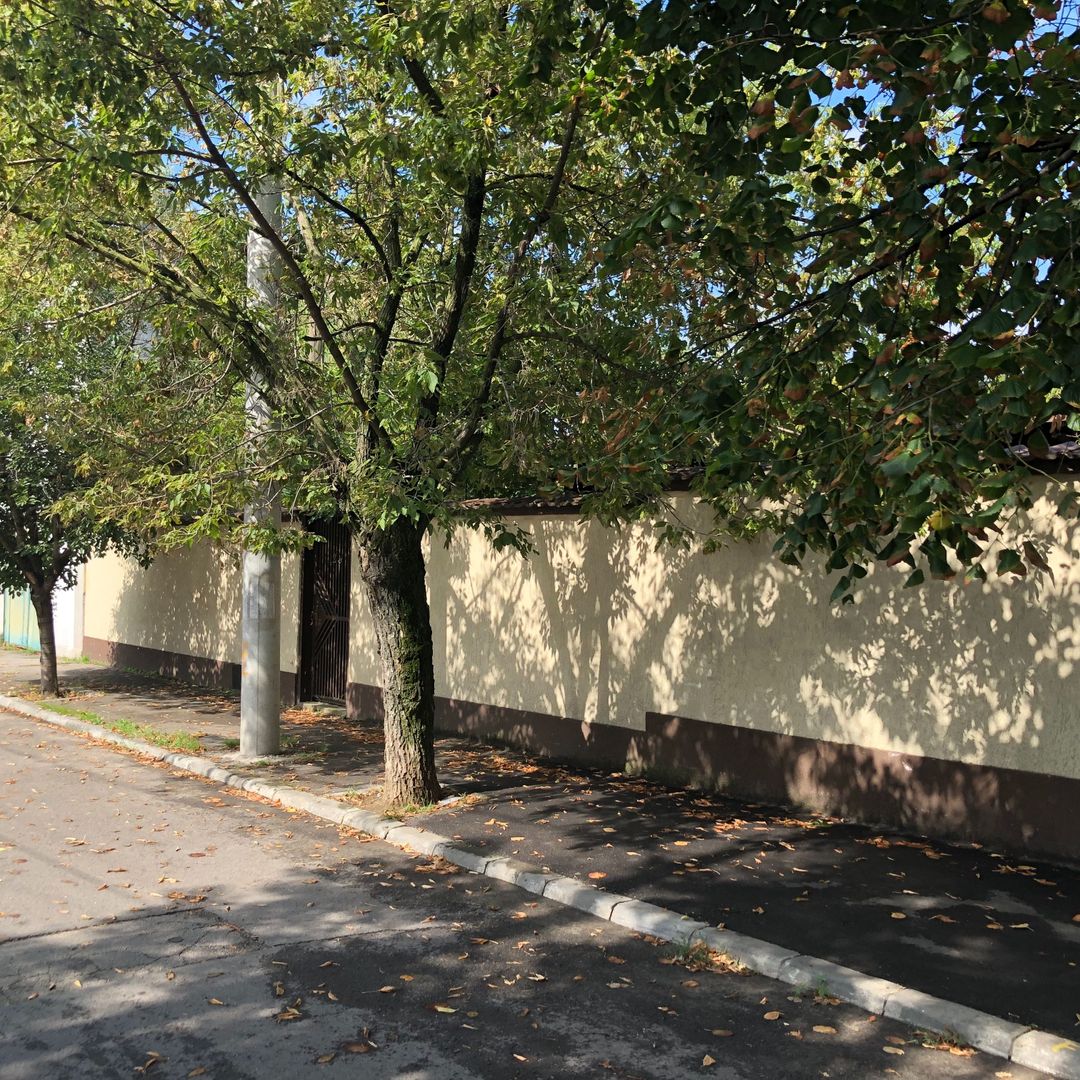 De Vanzare Teren Zona Giulesti - Poză 3