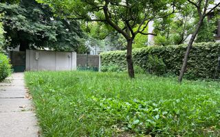 Apartament in vila cu 5 camere si curte proprie | Domenii - Casin - Poză 2