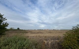 Teren parcelabil cu toate utilitatile 10.000 mp Moșnița Nouă – 18 €/mp - Poză 4