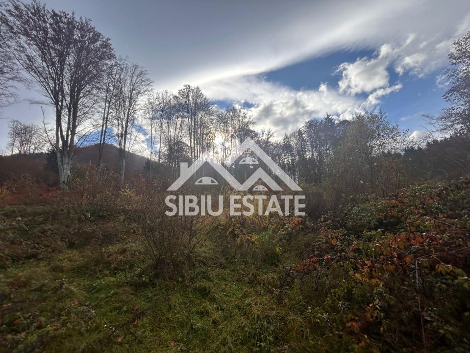 Oportunitate de investiție – Teren pentru hotel / pensiune pe Valea Avrigului - Poză 9