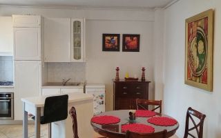 Apartament Dorobanti //  Pitarul Hristache - Poză 4