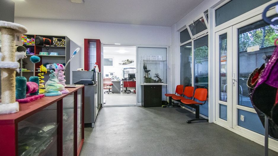 Sos. Giurgiului - P-ta Progresul, spatiu birou, cabinet, showroom, etc - Poză 4