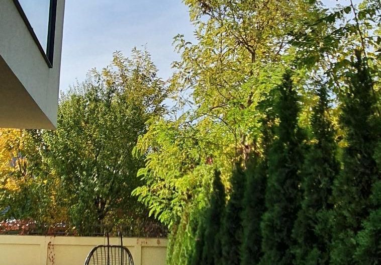 VILĂ PREMIUM | P+2E | PISCINĂ | 641 MP TEREN | SECTOR 1 - Poză 19