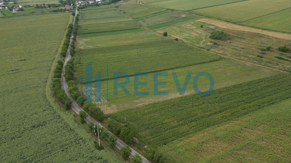 Teren de 4.400 mp Racova - Poză 4