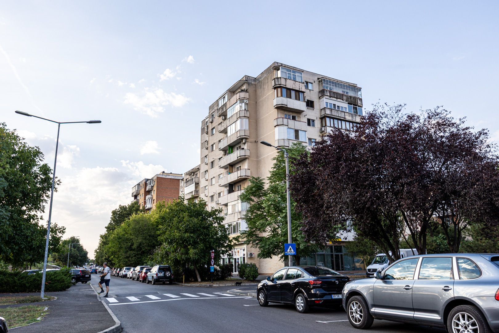 REZERVAT!Vedere directă spre faleza Mureșului, Micalaca 300 - Poză 2