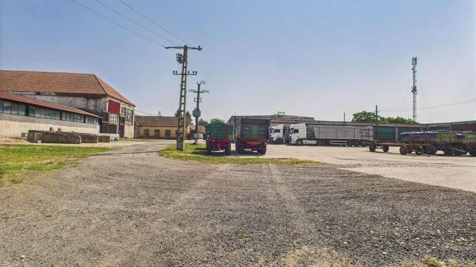 Complex industrial cu hale și teren  în Orțișoara - Poză 24