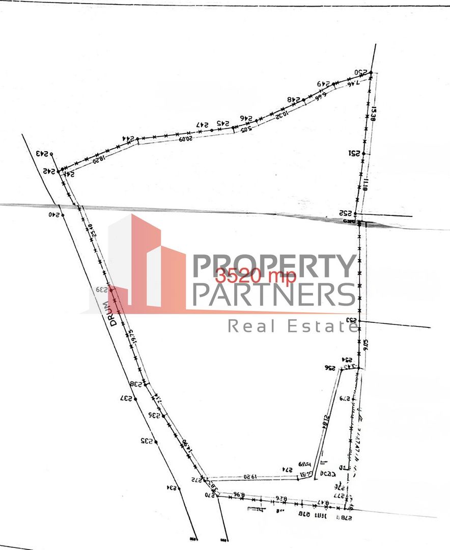 Teren Bran | 3.520 mp | Vedere Bucegi & Castelul Bran - Poză 6