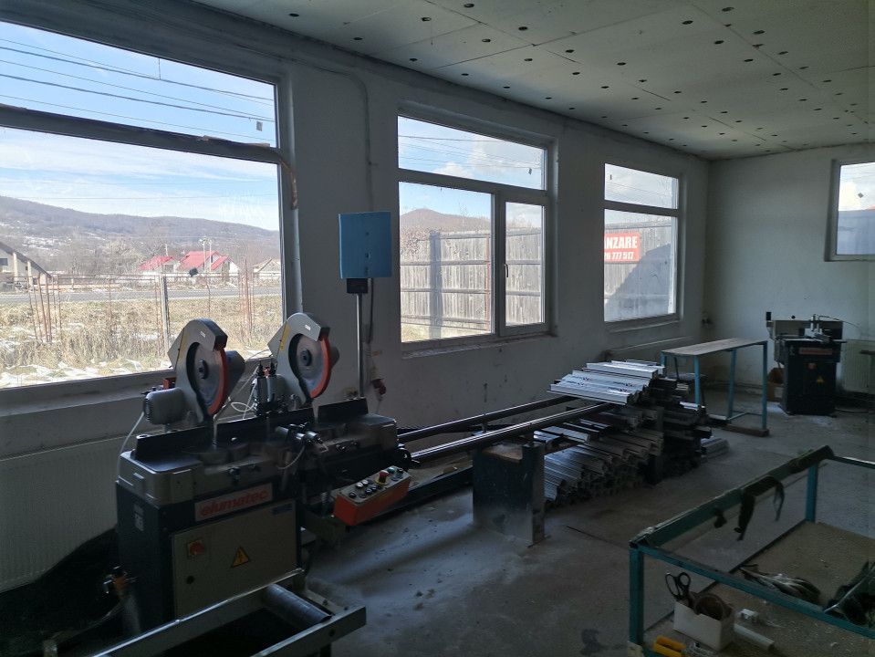 Vanzare hala atelier, stradal, Stalpeni - Poză 7