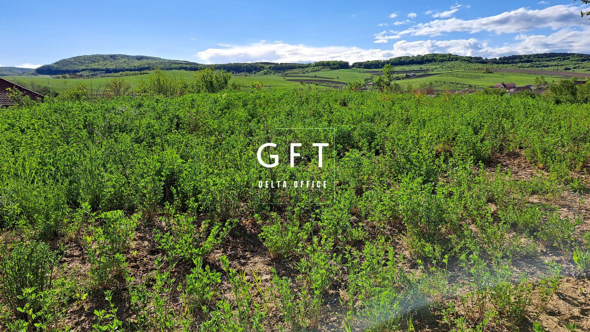 Teren intravilan parcelabil, zona Sigmir - Poză 19