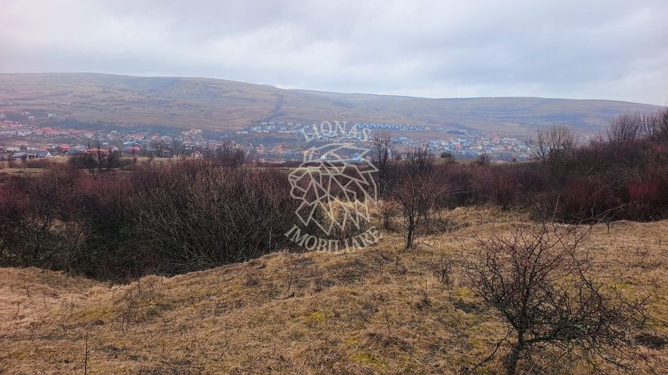 Teren de vânzare intravilan 8500 mp Chinteni Cluj oportunitate investitie - Poză 2