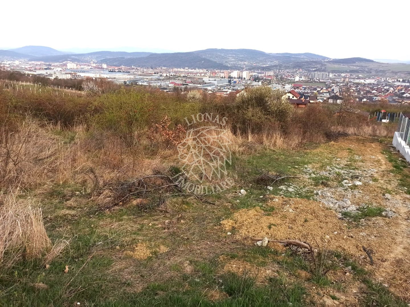 4 Parcele diferite intre 704 mp si 803 mp-ideal investitie-La Soare - Poză 1