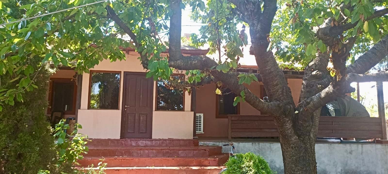 Casa de vanzare Tulcea / MAHMUDIA - Poză 4