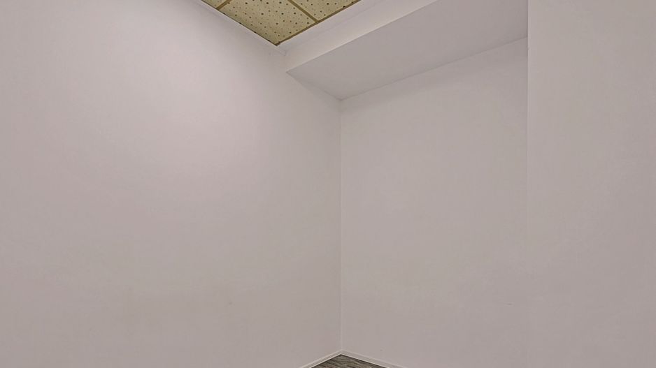 Zero comision, 67mp birou sau activitati, Parc Carol,parcare, 14' [M] - Poză 4