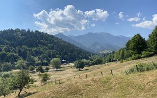 Teren extravilan de vânzare în Râșnov | 6.070 mp | Vedere panoramică - Poză 2