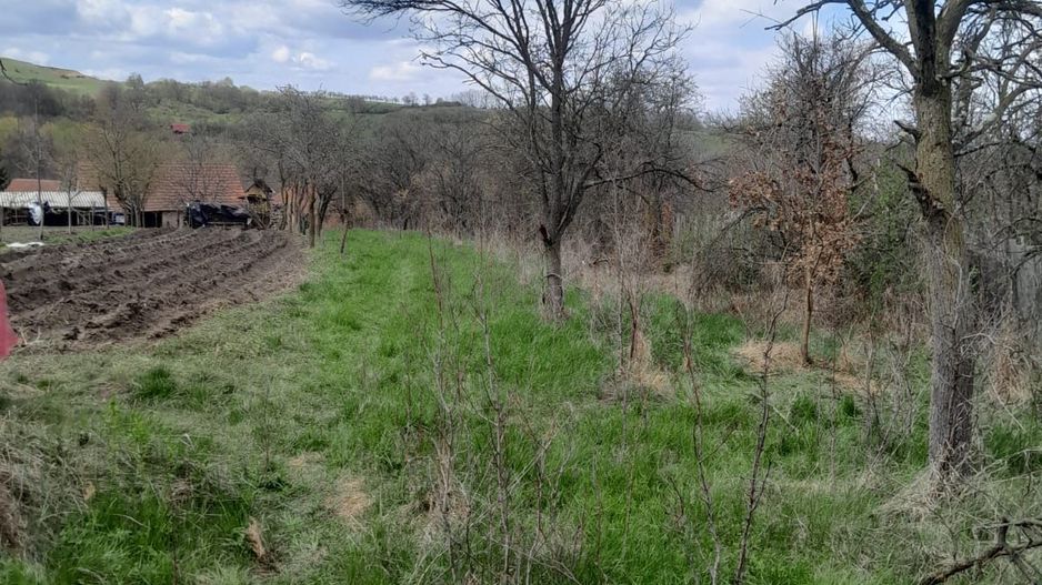 Teren de vanzare in Vaidei - Poză 3