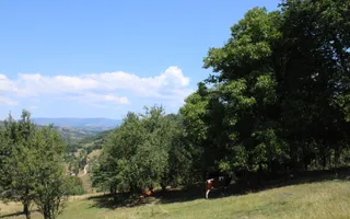 Poiana Sohodol I 5600 MP I Trei corpuri cladiri I Utilitati - Poză 42